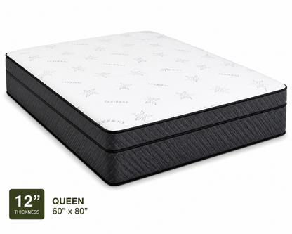 12-inch Anna Plus Euro Top High Density Foam Mattress in Queen size with medium firm comfort and breathable quilted fabric.